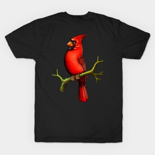 Red Cardinal bird cute cardinal cardinal lover T-Shirt